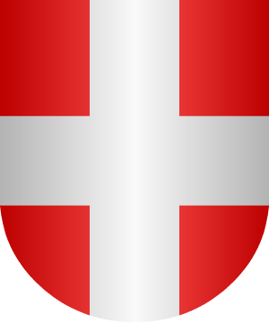 ESCUDO PRECEDENTE